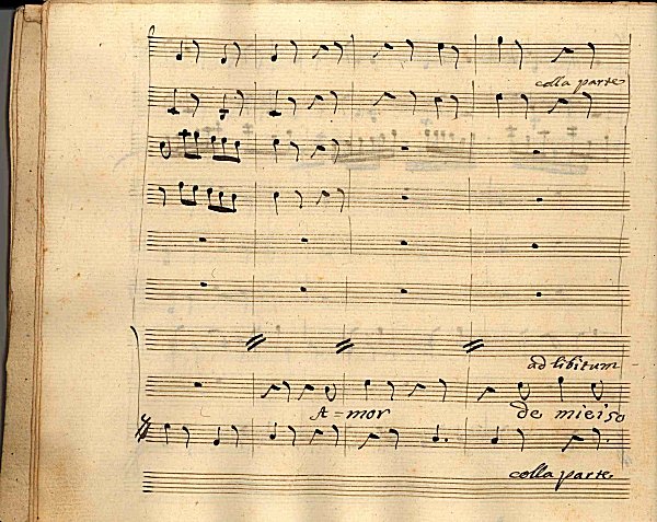 Pag. 6