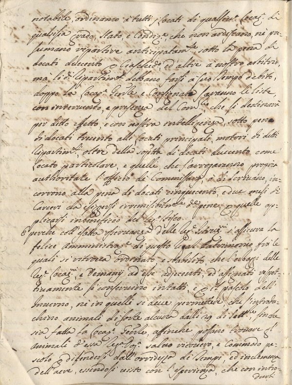 Bando 5, Foggia 24 agosto 1739, pag. 12