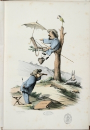 Album di caricature, 1860, Fratelli Palizzi