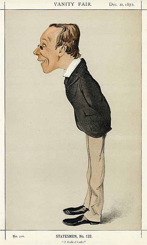 21 dicembre 1872, Henry Fawcett, A Radical Leader
